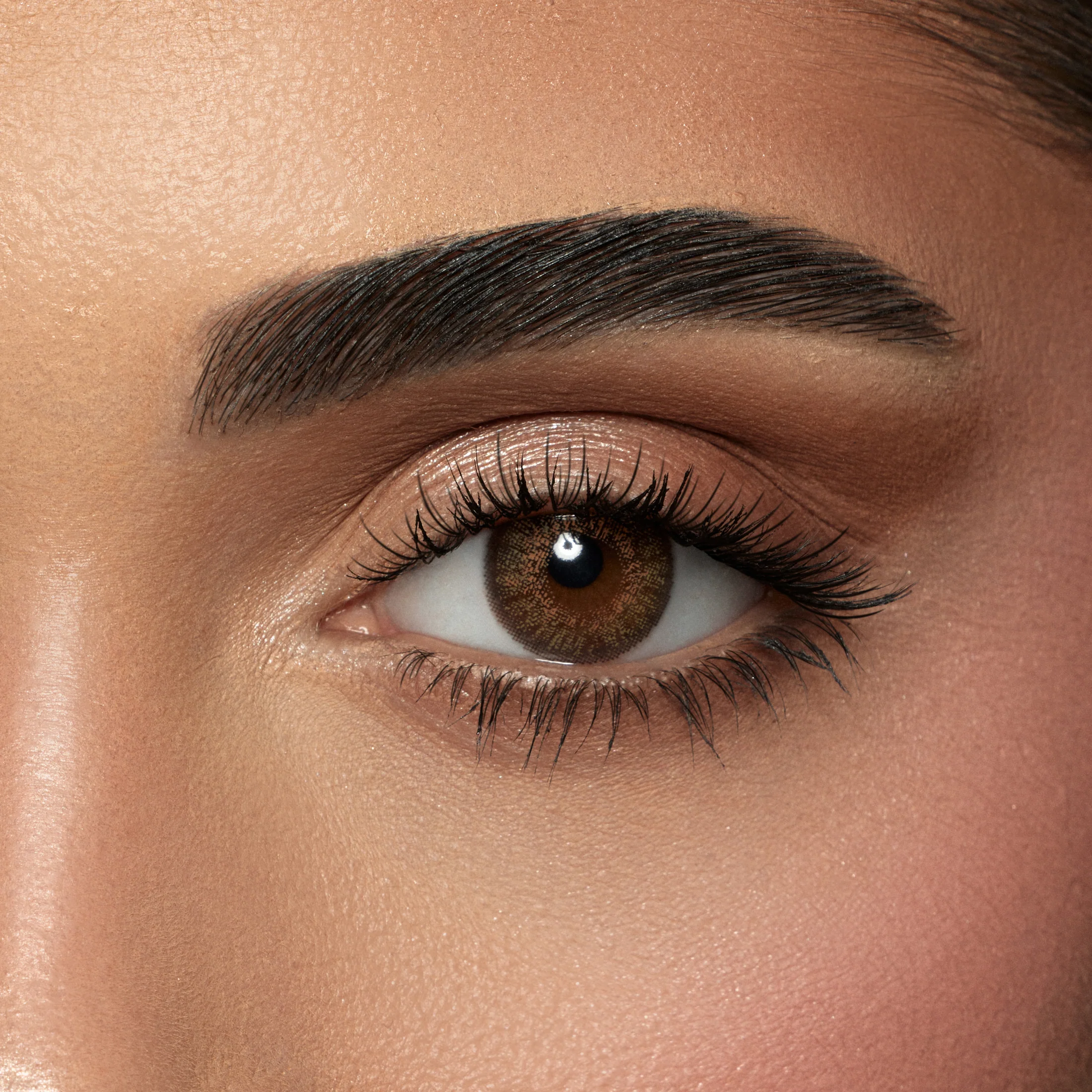 AMARA SHADOW DAILY COLOR CONTACT LENSES – 10 PACK