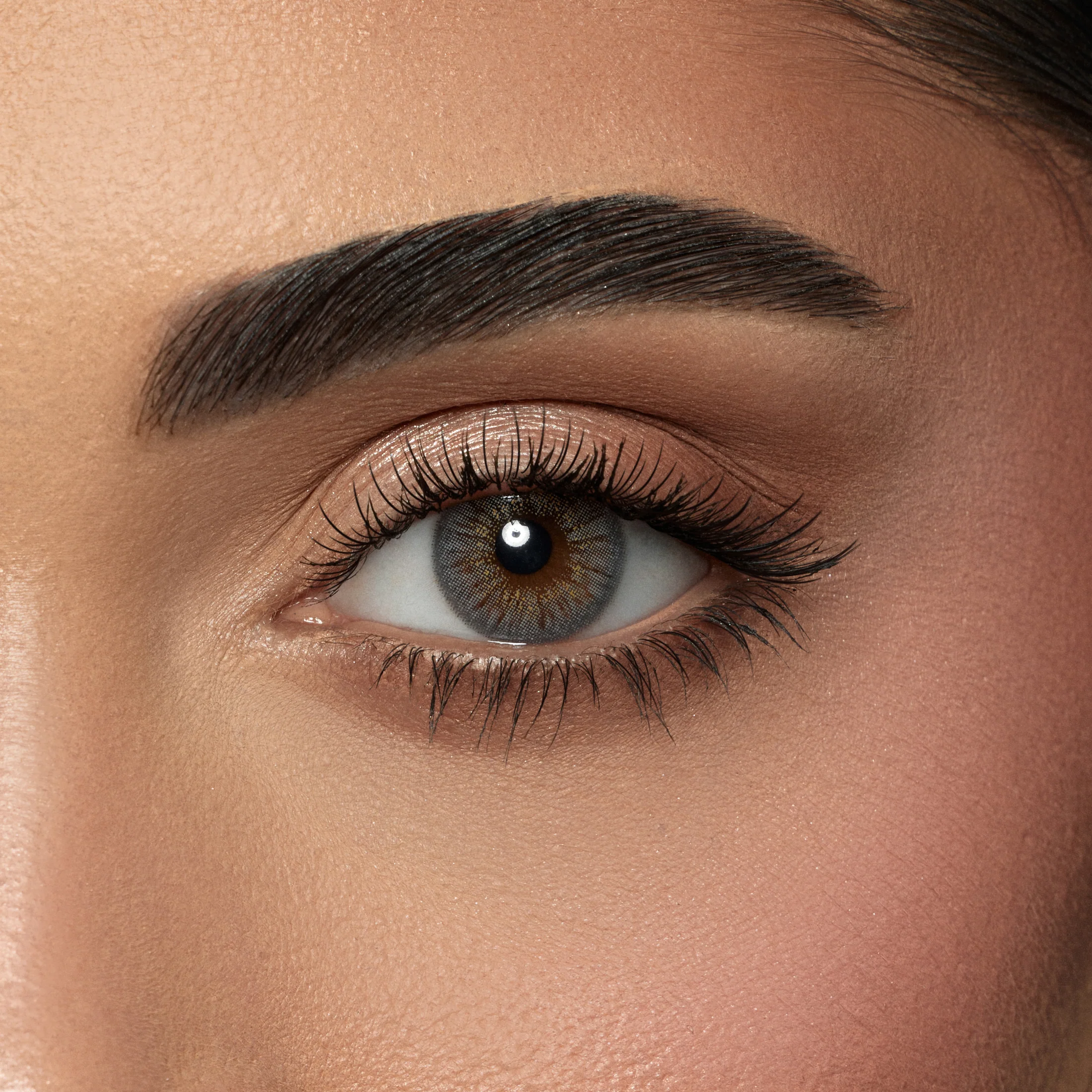 AMARA SUGAR DAILY COLOR CONTACT LENSES – 10 PACK