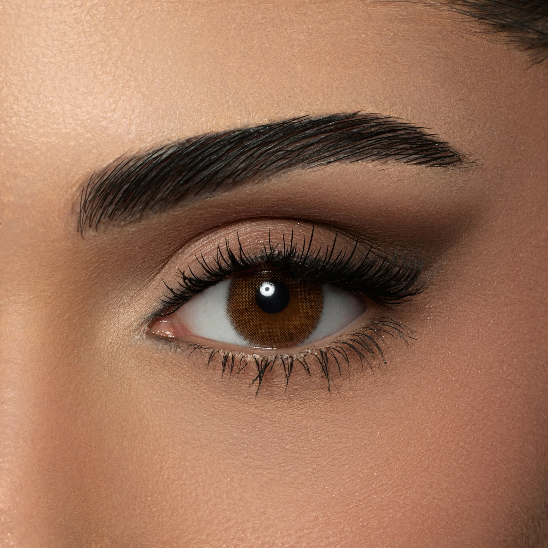 AMARA MACCHIATO MONTHLY COLOR CONTACT LENSES – 2 PACK