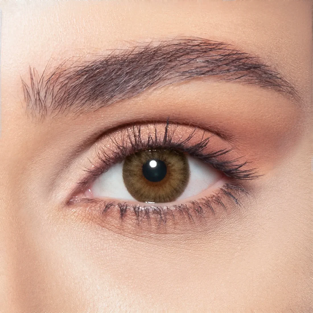 BELLA DIAMOND ALLURE BLONDE MONTHLY COLOR CONTACT LENSES - 2 PACK