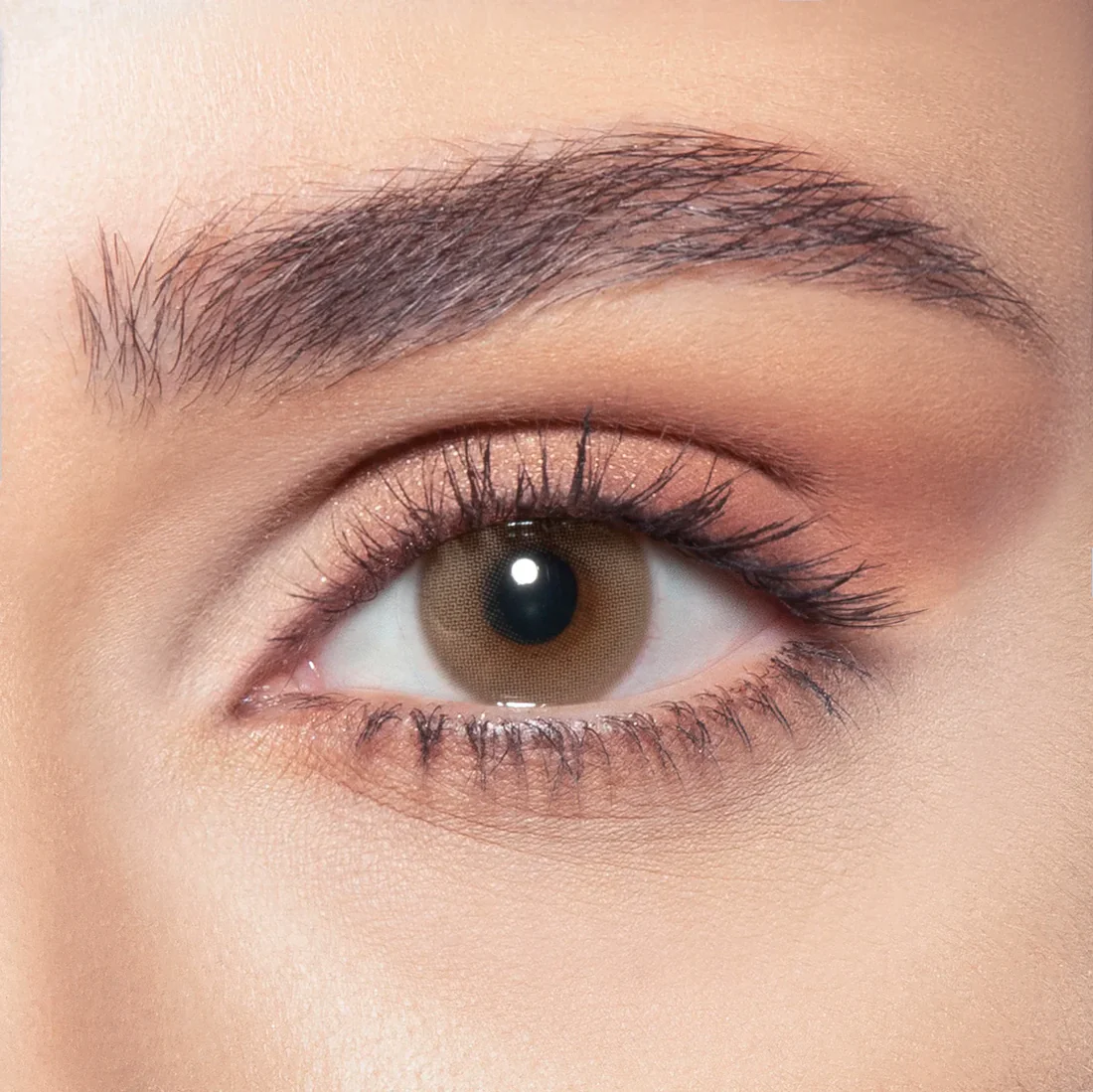 BELLA ONE DAY MARS DAILY COLOR CONTACT LENSES - 2 PACK