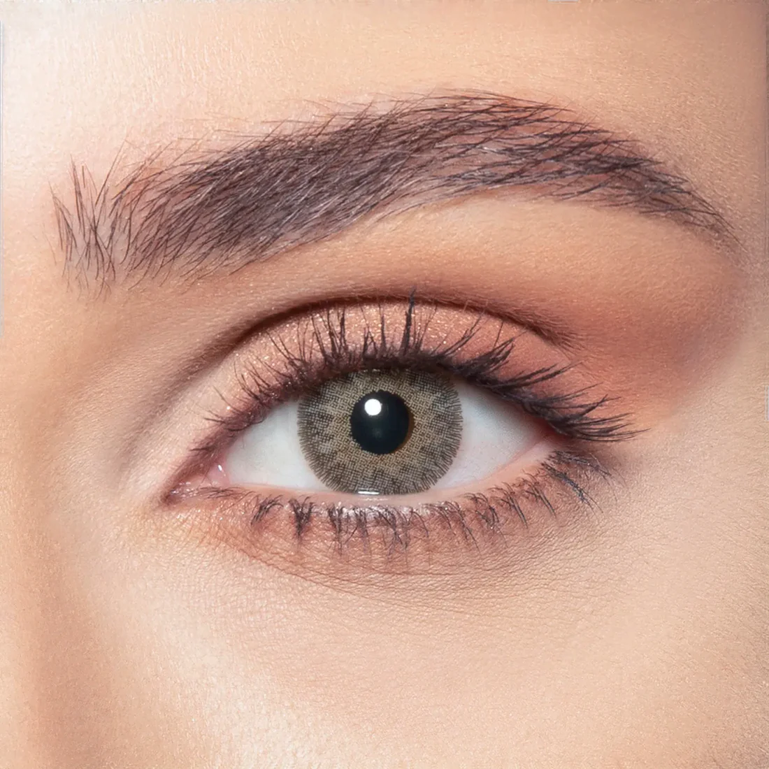 BELLA ONE DAY GARNET DAILY COLOR CONTACT LENSES - 2 PACK
