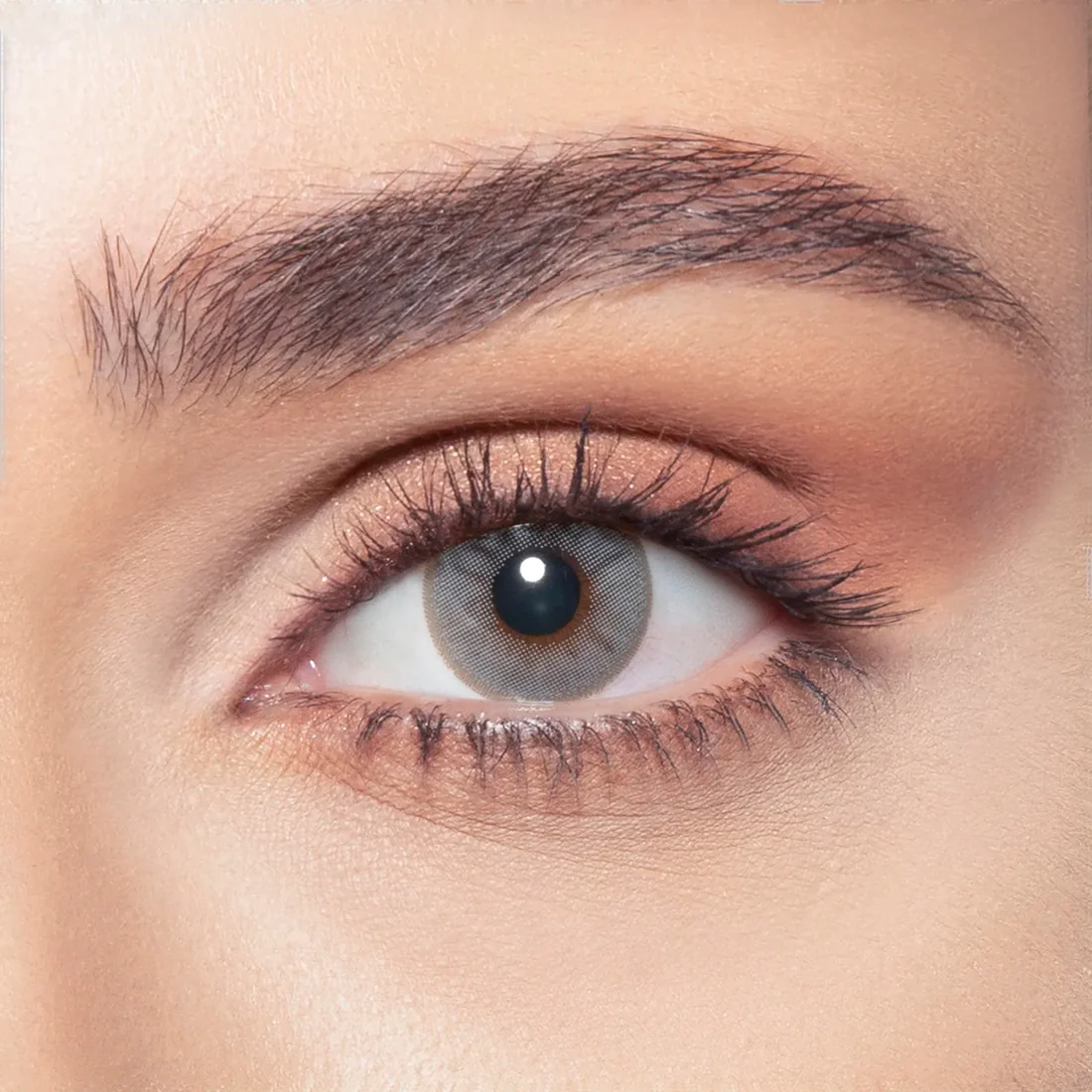 BELLA ONE DAY BLUISH GRAY DAILY COLOR CONTACT LENSES - 2 PACK