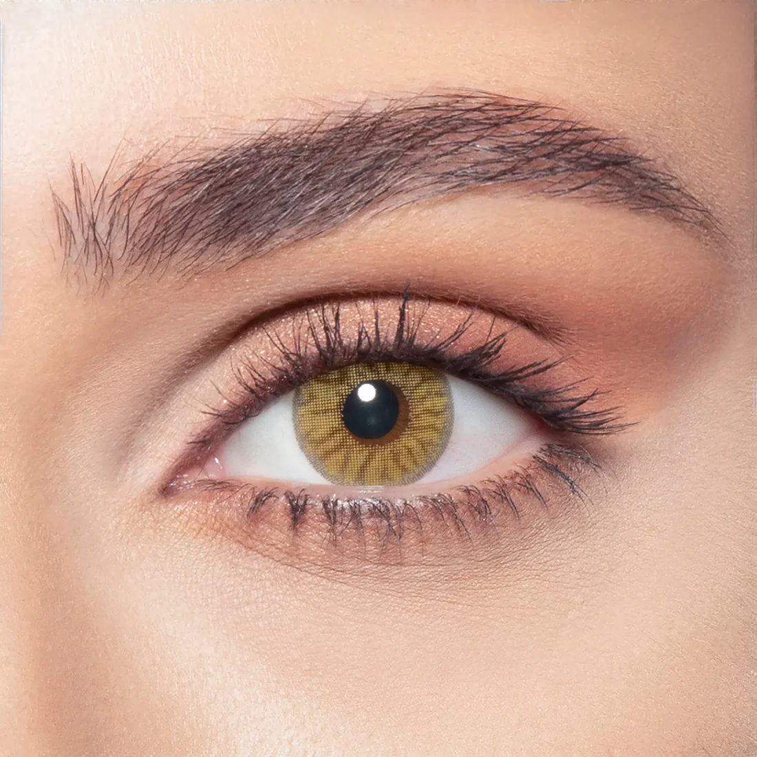 BELLA ONE DAY RADIANT HAZELNUT DAILY COLOR CONTACT LENSES - 2 PACK