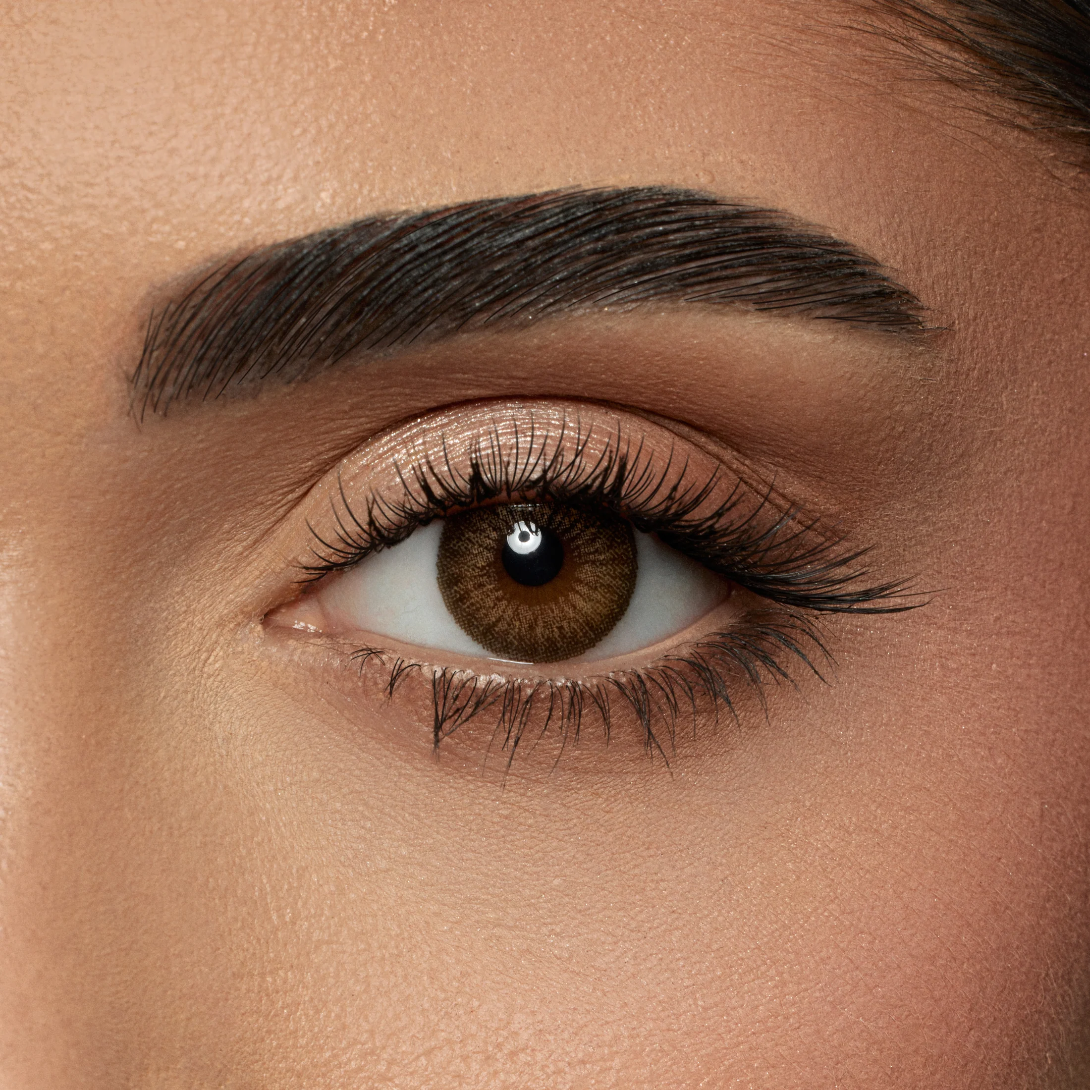 AMARA AMBER DAILY COLOR CONTACT LENSES – 10 PACK