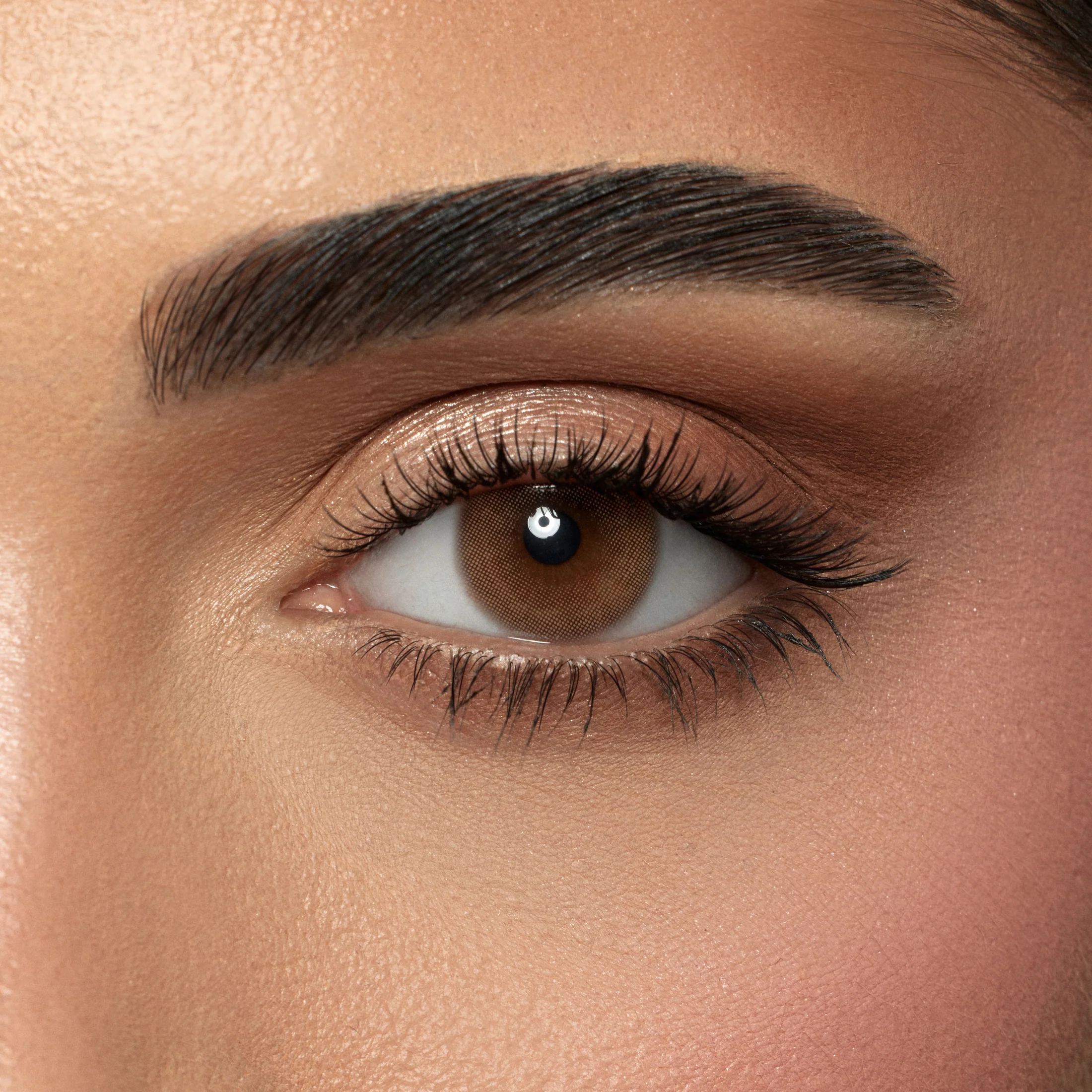 AMARA TOFFEE DAILY COLOR CONTACT LENSES – 10 PACK