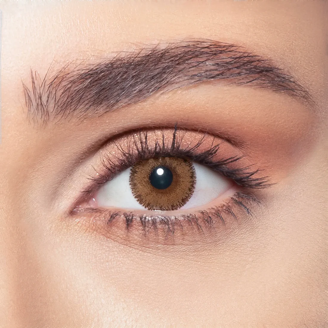 BELLA GLOW RADIANT BROWN GREEN MONTHLY COLOR CONTACT LENSES - 2 PACK